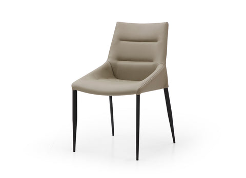 Image of Whiteline Kaya Dining Chair DC1843